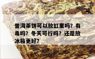 普洱茶饼可以放缸里吗？有吗？冬天可行吗？还是放冰箱更好？