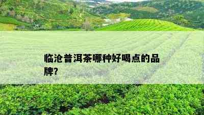 临沧普洱茶哪种好喝点的品牌？