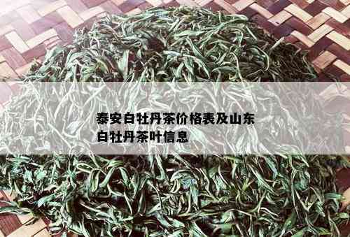 泰安白牡丹茶价格表及山东白牡丹茶叶信息