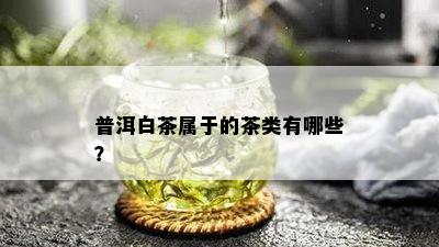 普洱白茶属于的茶类有哪些？