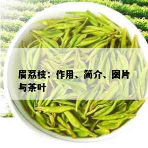 眉荔枝：作用、简介、图片与茶叶