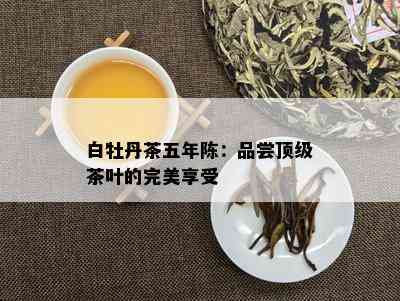 白牡丹茶五年陈：品尝顶级茶叶的完美享受