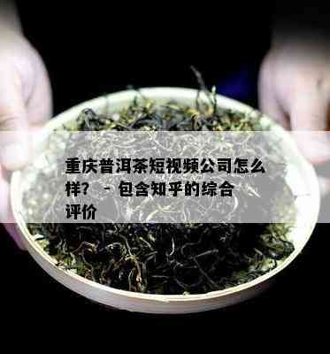 重庆普洱茶短视频公司怎么样？ - 包含知乎的综合评价