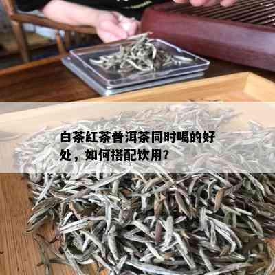 白茶红茶普洱茶同时喝的好处，如何搭配饮用？