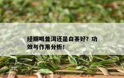 经期喝普洱还是白茶好？功效与作用分析！