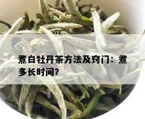 煮白牡丹茶方法及窍门：煮多长时间？