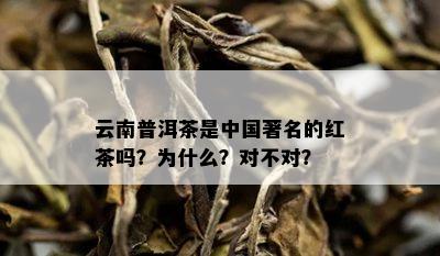 云南普洱茶是中国著名的红茶吗？为什么？对不对？