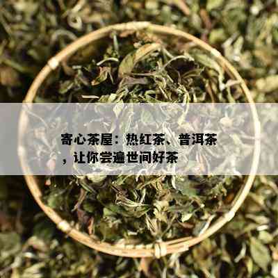 寄心茶屋：热红茶、普洱茶，让你尝遍世间好茶