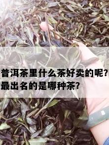 普洱茶里什么茶好卖的呢？最出名的是哪种茶？