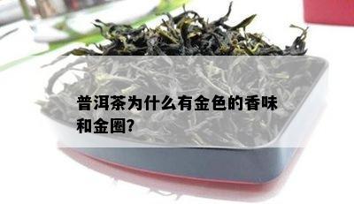 普洱茶为什么有金色的香味和金圈？