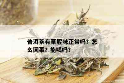 普洱茶有草腥味正常吗？怎么回事？能喝吗？