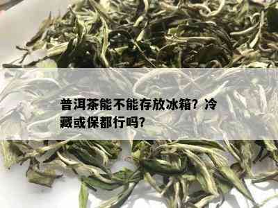 普洱茶能不能存放冰箱？冷藏或保都行吗？