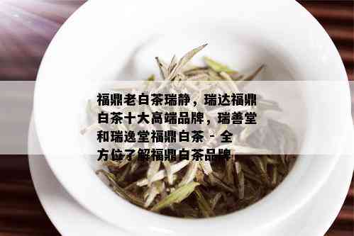 福鼎老白茶瑞静，瑞达福鼎白茶十大高端品牌，瑞善堂和瑞逸堂福鼎白茶 - 全方位了解福鼎白茶品牌