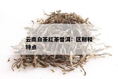 云南白茶红茶普洱：区别和特点