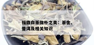 福鼎白茶拙朴之美：茶舍、普洱及相关知识