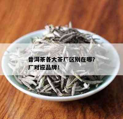 普洱茶各大茶厂区别在哪？厂对应品牌！