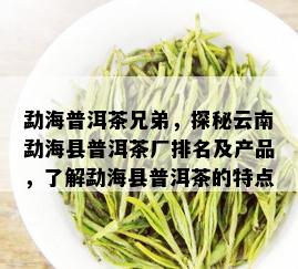 勐海普洱茶兄弟，探秘云南勐海县普洱茶厂排名及产品，了解勐海县普洱茶的特点