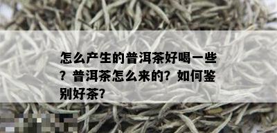 怎么产生的普洱茶好喝一些？普洱茶怎么来的？如何鉴别好茶？