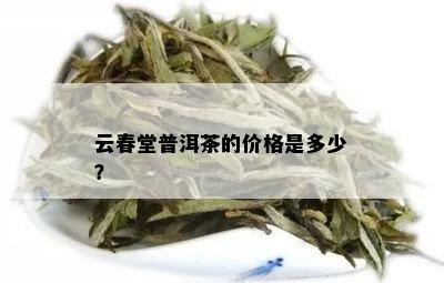 云春堂普洱茶的价格是多少？