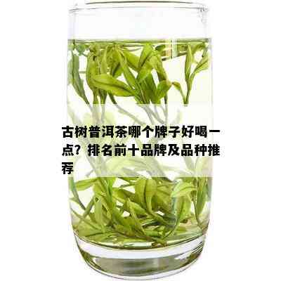 古树普洱茶哪个牌子好喝一点？排名前十品牌及品种推荐