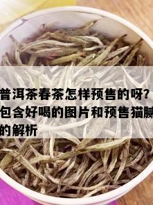 普洱茶春茶怎样预售的呀？包含好喝的图片和预售猫腻的解析