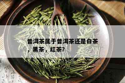 普洱茶属于普洱茶还是白茶，黑茶，红茶？