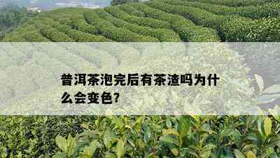 普洱茶泡完后有茶渣吗为什么会变色？