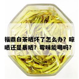 福鼎白茶晒坏了怎么办？晾晒还是暴晒？霉味能喝吗？