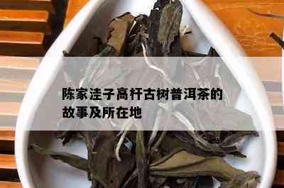 陈家洼子高杆古树普洱茶的故事及所在地