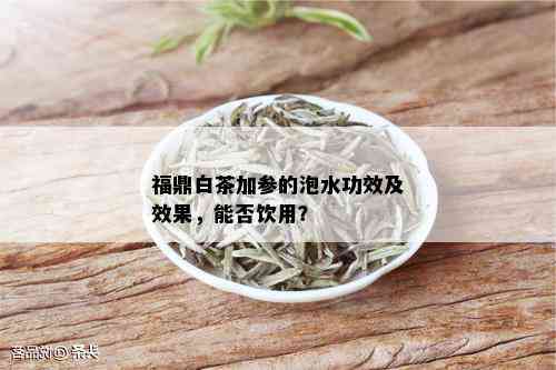 福鼎白茶加参的泡水功效及效果，能否饮用？