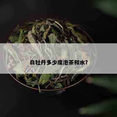 白牡丹多少度泡茶和水？