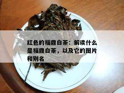 红色的福鼎白茶：解读什么是福鼎白茶，以及它的图片和别名