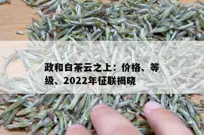 政和白茶云之上：价格、等级、2022年征联揭晓