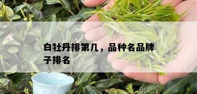 白牡丹排第几，品种名品牌子排名