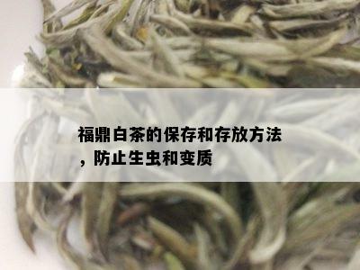 福鼎白茶的保存和存放方法，防止生虫和变质