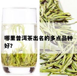 哪里普洱茶出名的多点品种好？