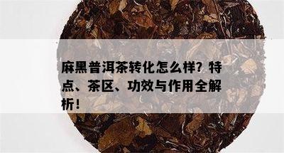 麻黑普洱茶转化怎么样？特点、茶区、功效与作用全解析！