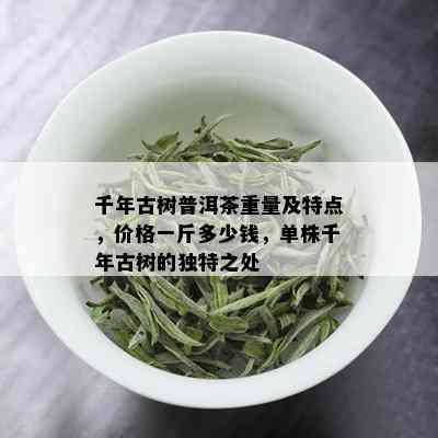 千年古树普洱茶重量及特点，价格一斤多少钱，单株千年古树的独特之处