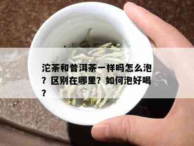 沱茶和普洱茶一样吗怎么泡？区别在哪里？如何泡好喝？