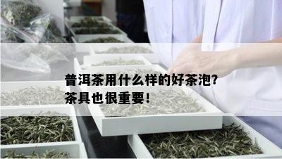 普洱茶用什么样的好茶泡？茶具也很重要！