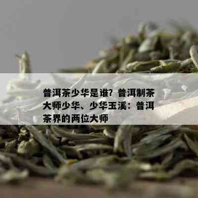 普洱茶少华是谁？普洱制茶大师少华、少华玉溪：普洱茶界的两位大师