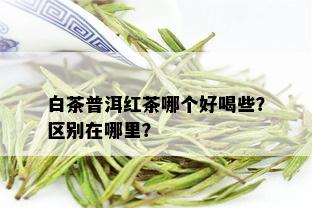 白茶普洱红茶哪个好喝些？区别在哪里？