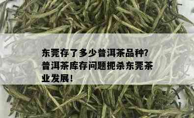 东莞存了多少普洱茶品种？普洱茶库存问题扼杀东莞茶业发展！