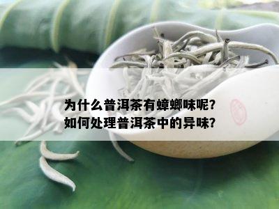 为什么普洱茶有蟑螂味呢？如何处理普洱茶中的异味？