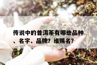 传说中的普洱茶有哪些品种、名字、品牌？谁赐名？