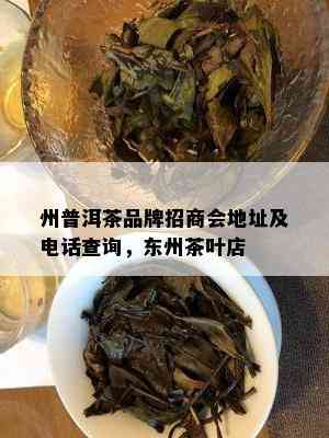 州普洱茶品牌招商会地址及电话查询，东州茶叶店