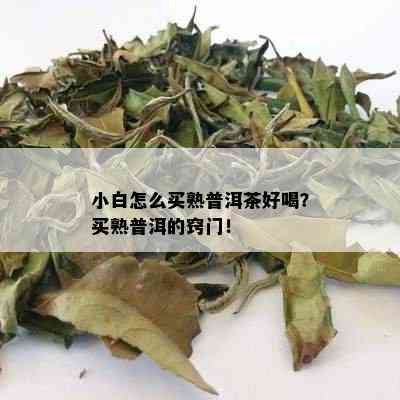 小白怎么买熟普洱茶好喝？买熟普洱的窍门！