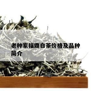 老种家福鼎白茶价格及品种简介