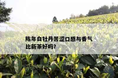 陈年白牡丹苦涩口感与香气比新茶好吗？