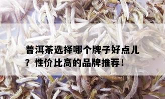 普洱茶选择哪个牌子好点儿？性价比高的品牌推荐！